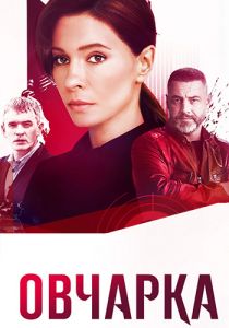 Сериал Овчарка  (2024) скачать торрент бесплатно