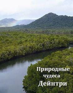 Природные чудеса Дейнтри (2022) скачать торрент бесплатно