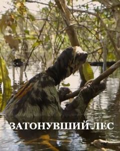 Затонувший лес (2016)